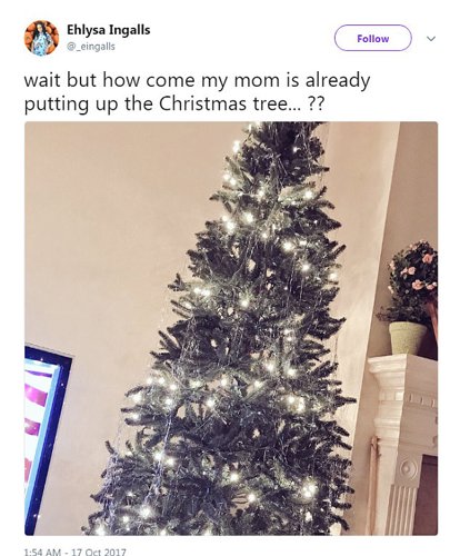 is it too early to put up your christmas tree is it too early to put up your christmas tree