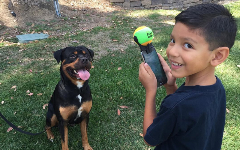 Clever dog hot sale pooch selfie