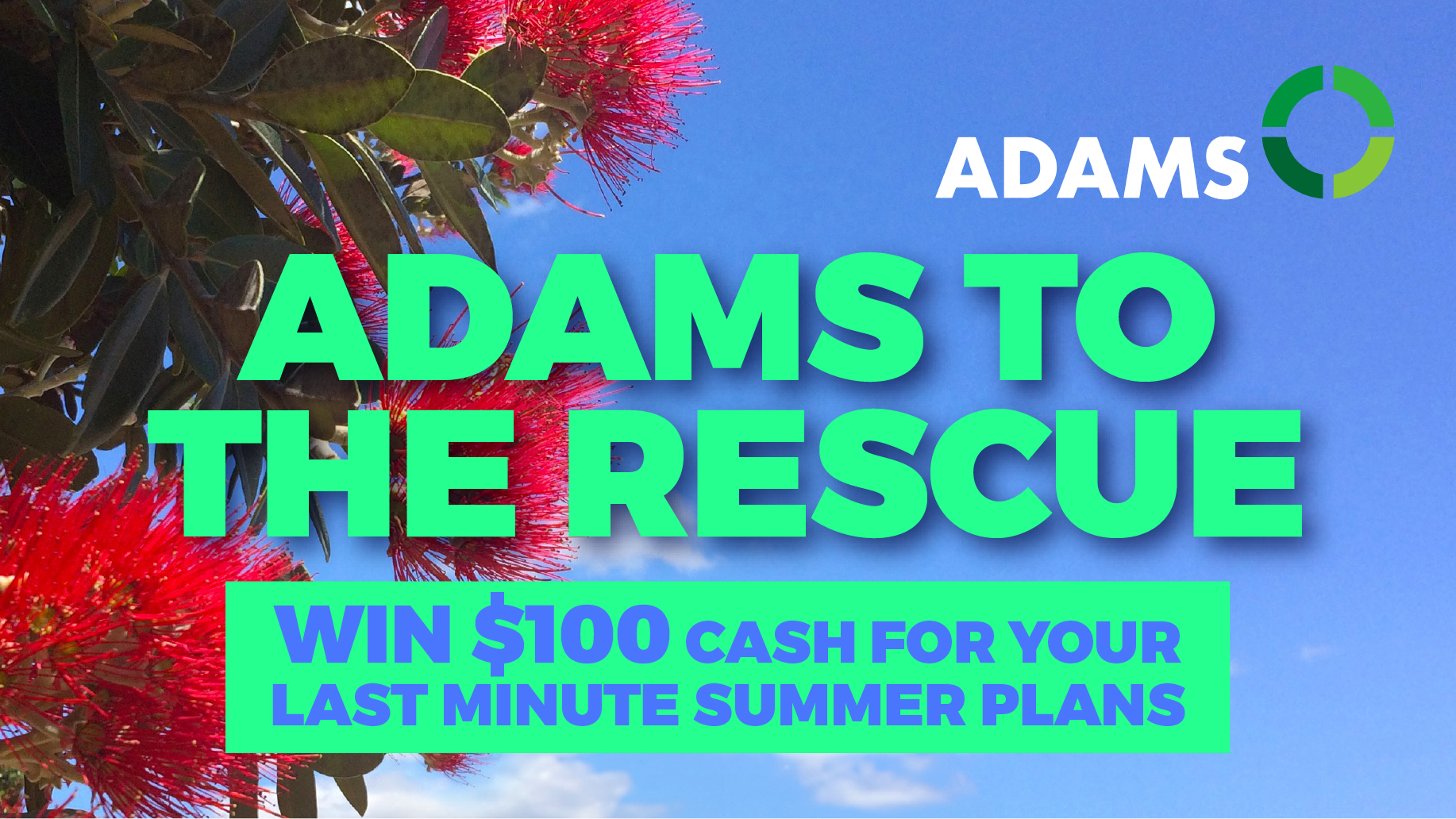 Adams Summer Rescue