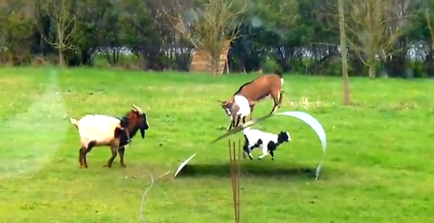 Just kidding round!  (dad jokes)