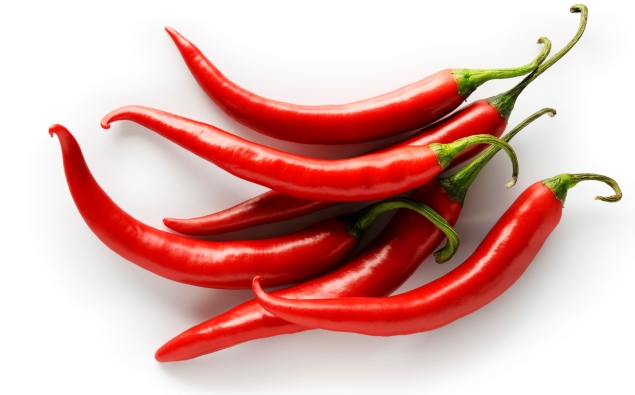 VIDEO: Guy Smiley vs Orcona Chilli