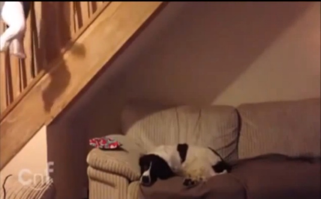 Mum went out for just 1 hour. Dad did this...