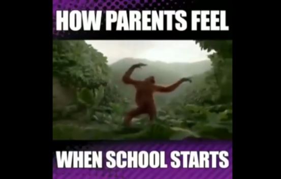 Go on, be honest... you too?