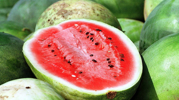 Energy, hydration and sweet deliciousness... it's no wonder the humble watermelon is a favourite summer fruit the world over. But how do you select the perfect one? Picture / Supplied via NZH