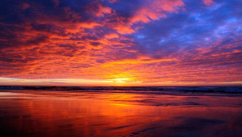 Your Kiwi Summer Top 10 Images