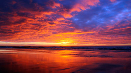 Your Kiwi Summer Top 10 Images