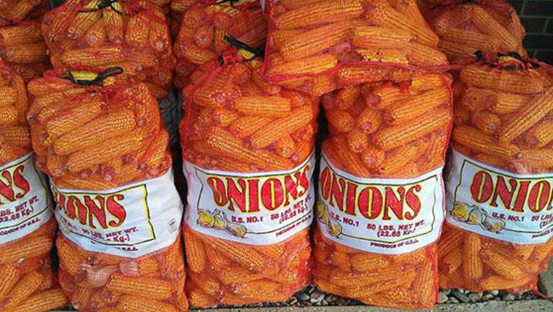 People Majorly Suffering from Mondayitis