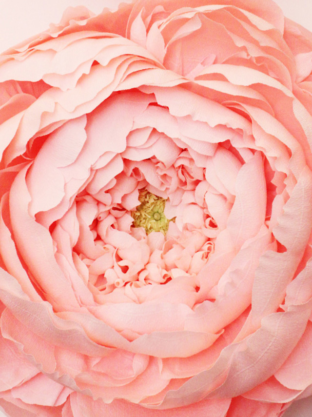 Super Realistic Giant Paper Flowers