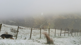 PHOTOS- Snow In Gisborne