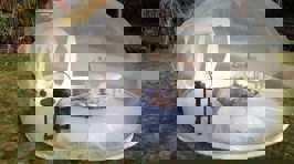 Transparent Bubble Tent Lets You Sleep Underneath the Stars