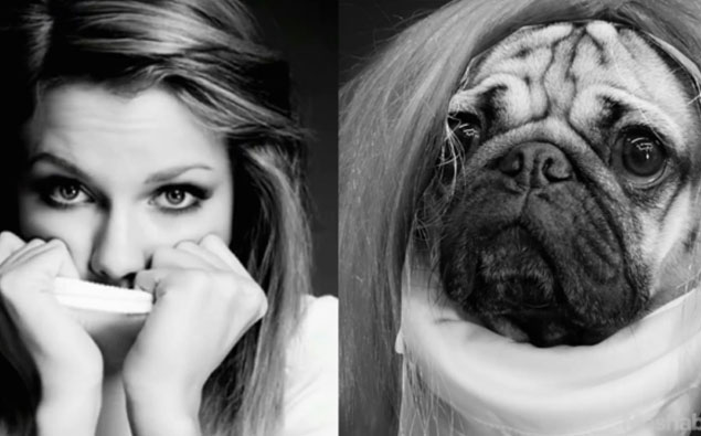 This Pug Recreating Iconic Taylor Swift Photos Is Amazing