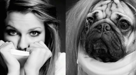This Pug Recreating Iconic Taylor Swift Photos Is Amazing