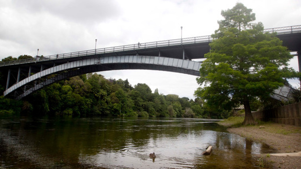 A person is missing in the Waikato River. Photo / Christine Cornege