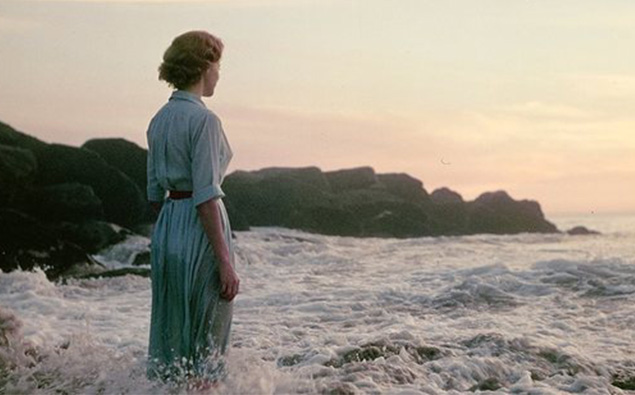 These Mystery photos Have The Internet Stumped