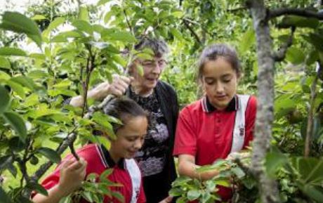Pride OF NZ Award Finalist Avis Leeson