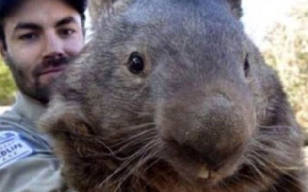 Meet The Weirdest Tinder User Ever