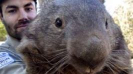 Meet The Weirdest Tinder User Ever