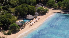 Where Our Survivor Winners Are Going