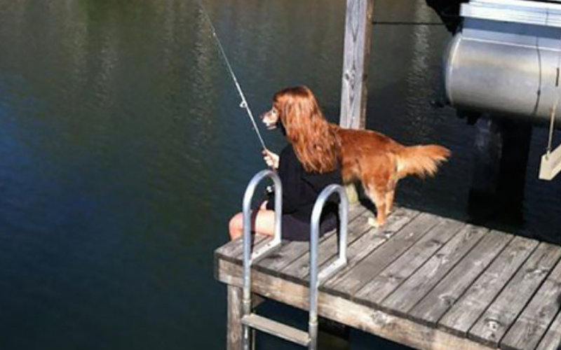 22 Pictures Taken At The Exact Right Moment