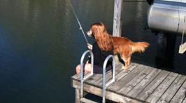 22 Pictures Taken At The Exact Right Moment