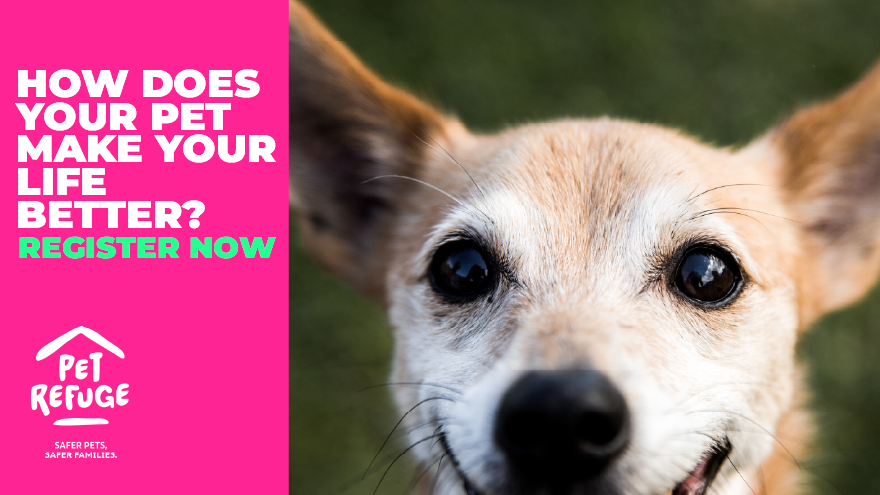 WIN cash to pamper your pet & support Pet Refuge NZ