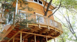 Grandfather Builds 3-Story, 40Ft Treehouse For His Grandkids