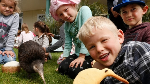Sparky the one legged kiwi visits Glenbervie School