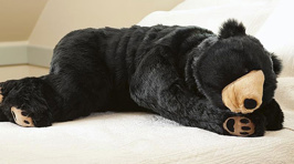 Bear Sleeping Bag Will Make Sure No One Disturbs Your Sleep