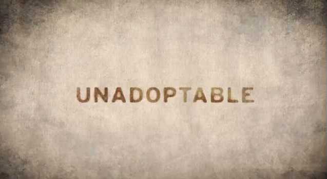 The Un-Adoptables ADELE