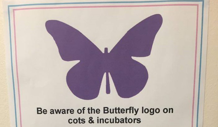 The Heartbreaking Story Behind These Purple Butterflies on Cots
