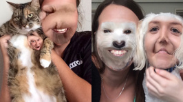 Photos: Face-Swaps with Your Pets!