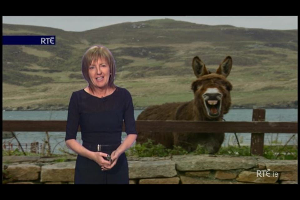 Photobombs That Will Make You Smile