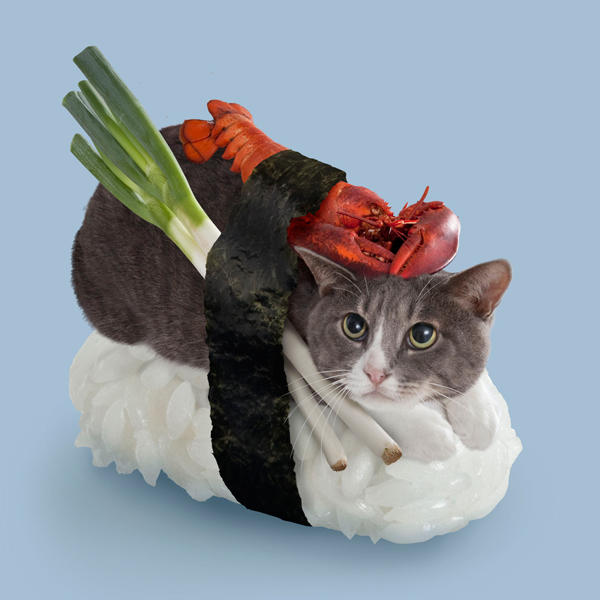 Sushi Cats!