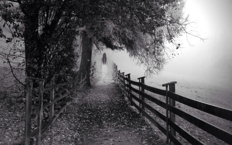 The 7 Most Haunted Places In New Zealand