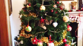 Cats helping decorate Christmas trees