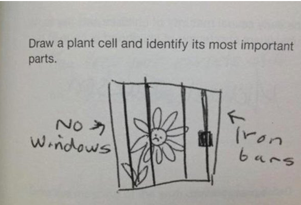 Kids Write the Funniest Test Answers!
