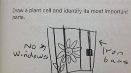Kids Write the Funniest Test Answers!