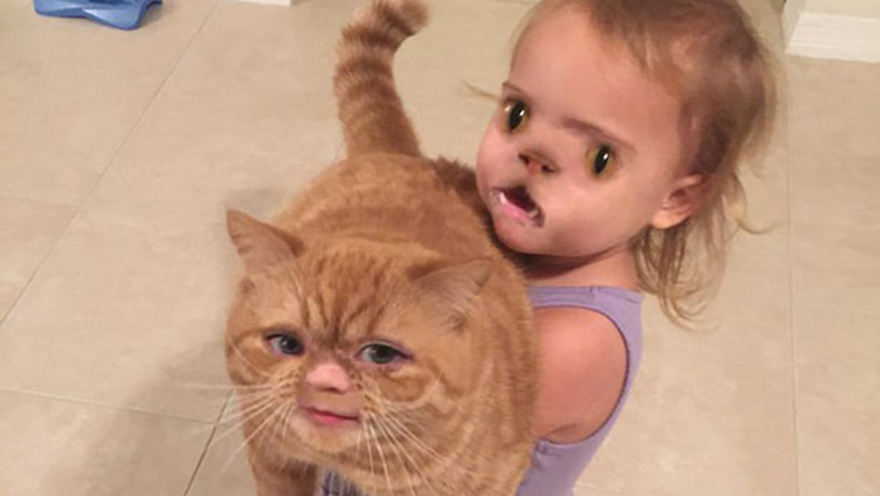 The most hilarious and disturbing face swap fails you will see today