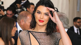 Kendall Jenner leaves little to the imagination at the Met Gala