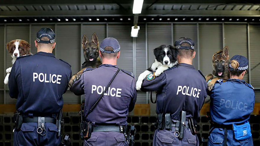 Police have the internet in stitches with their hilarious sense of humour