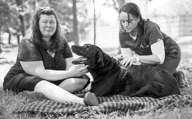Duke's Big Last Day