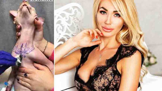 A Ukrainian bodybuilder is under investigation for animal cruelty after tattooing her cat to make it look 'as glamorous' as her. Photo / Instagram