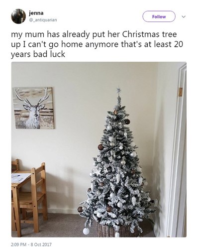 this theory also helps assert the widely accepted fact that synthetic christmas trees are naff as generally those houses who decorate too early are often - When Does The Christmas Tree Go Up this theory also helps assert the widely accepted fact that synthetic christmas trees are naff as generally those houses who decorate too early are often - When Does The Christmas Tree Go Up