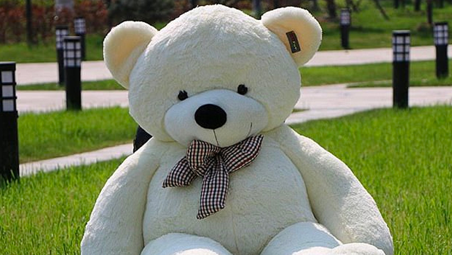 online shopping sites for teddy bears