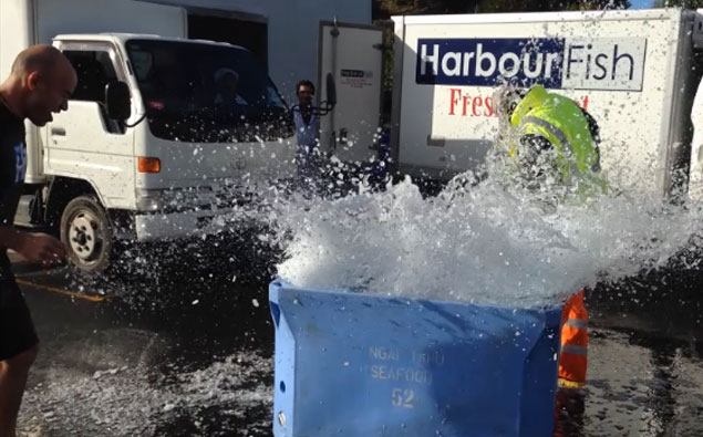 Dunedin Does The Ice Challenge