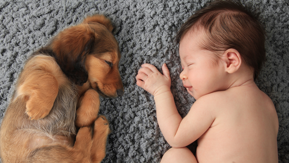 Heart-warming photos show the special bond of babies and their furry best friends