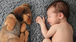 Heart-warming photos show the special bond of babies and their furry best friends