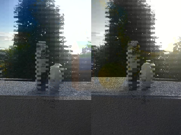 Celia has moved into a new flat near the beach, got a fair few flies so the natural repellent has become a flat project!