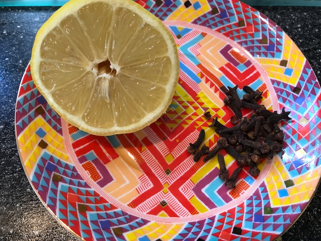 Try it Out Tuesday - DIY Lemon and Clove Fly Repellent