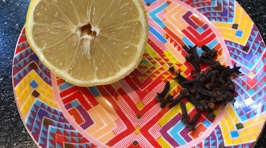 Try it Out Tuesday - DIY Lemon and Clove Fly Repellent